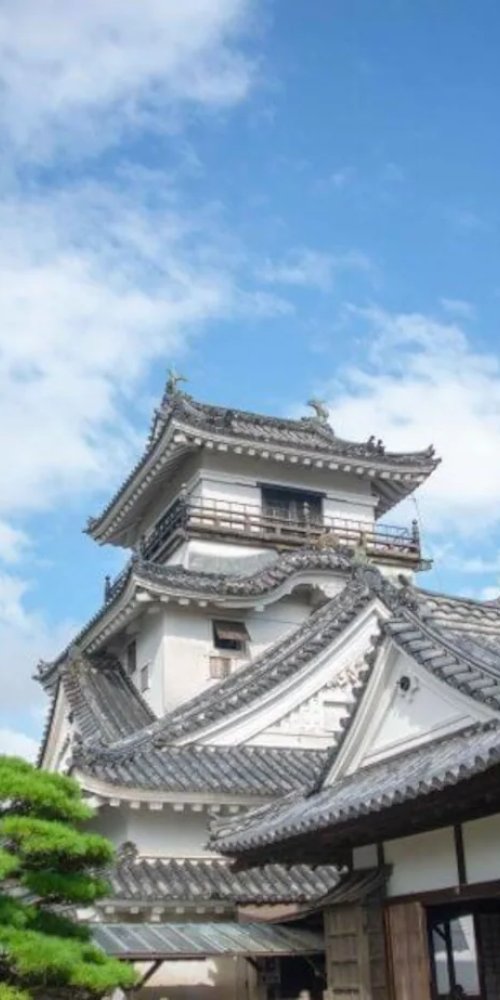 Kochi nightlife ambience