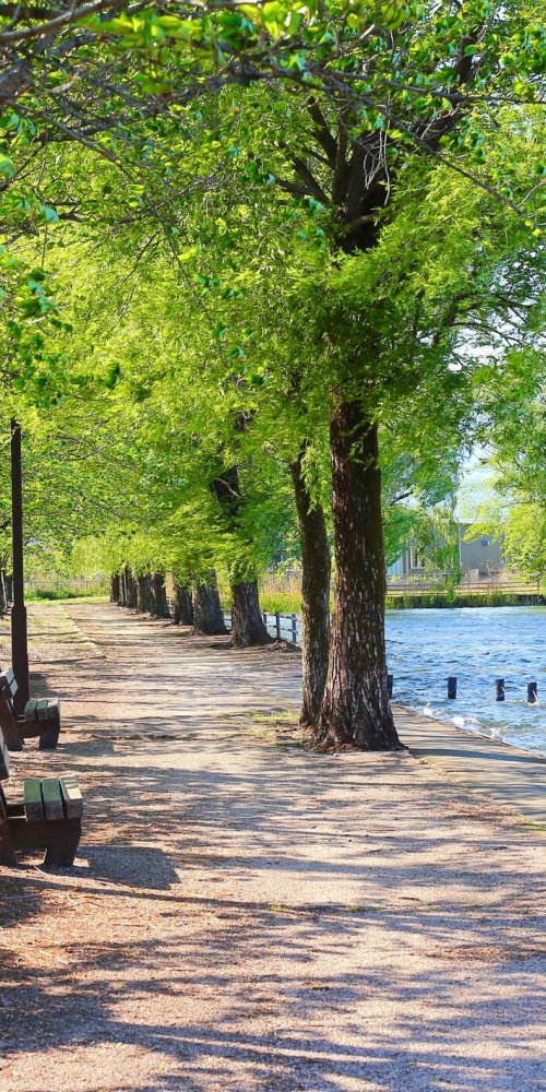 Nightlife ambience in Coral Springs