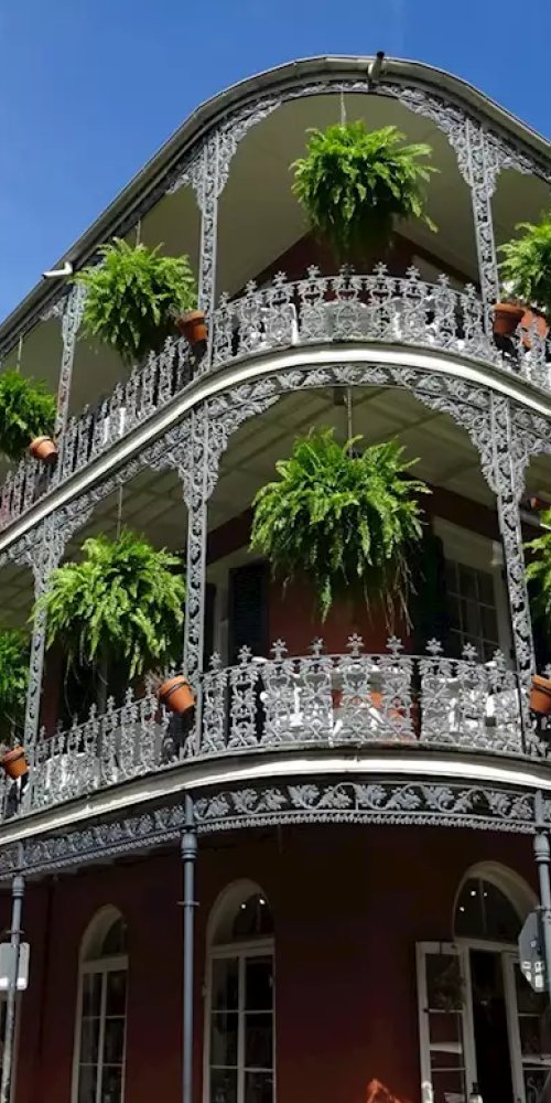 Nightlife atmosphere in New Orleans, LA, US