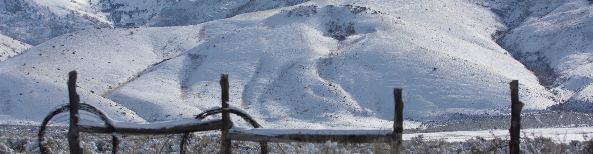 Best nightlife in Elko, NV, US