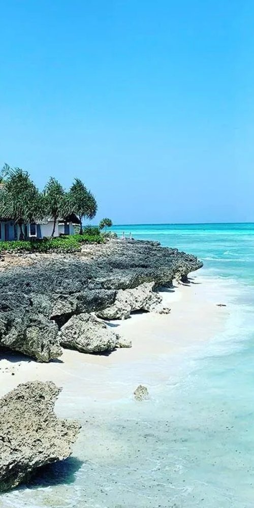 Zanzibar nightlife ambience