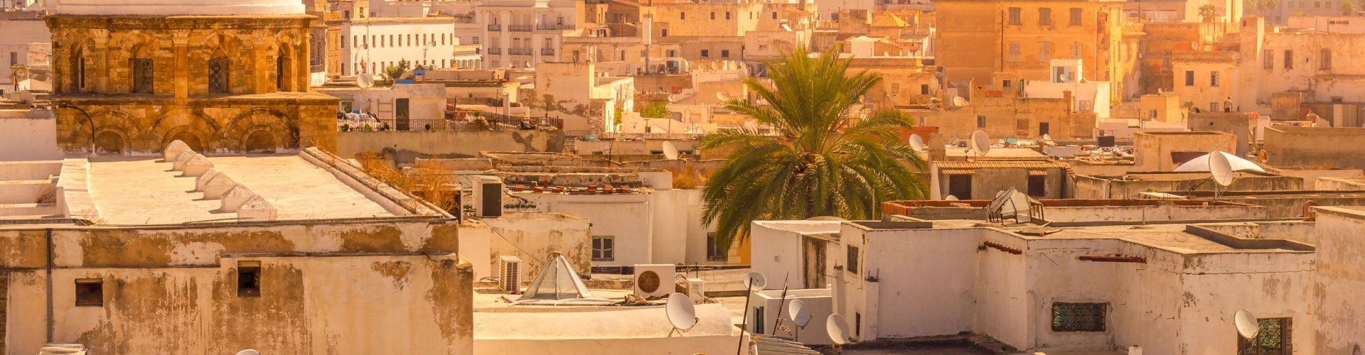 Best nightlife in Tunis, TN