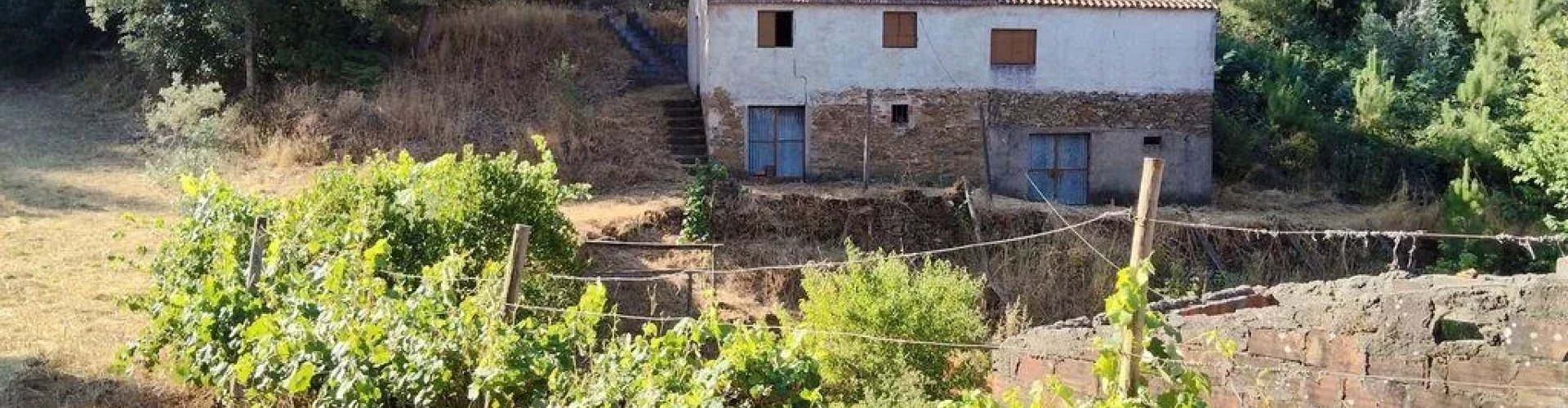 Best nightlife in Madeirã, PT