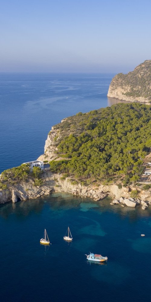 Nightlife in Coronado, CA at dusk