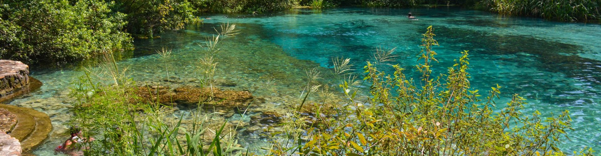 Best nightlife in High Springs, FL, US