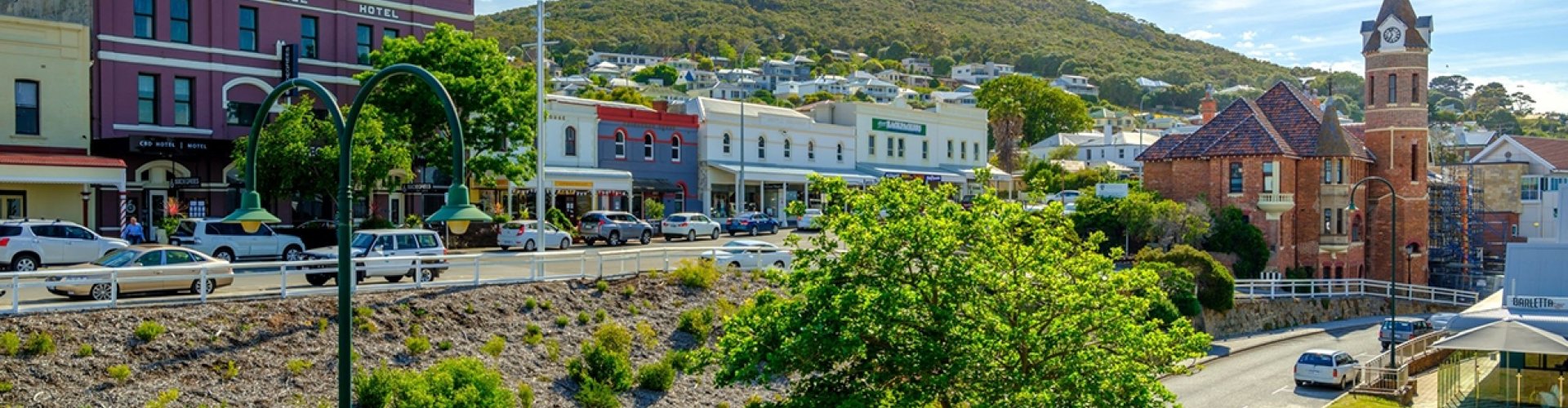 Albany night skyline