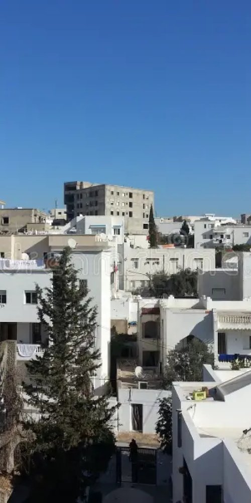 Nightlife ambience in Le Bardo, TN