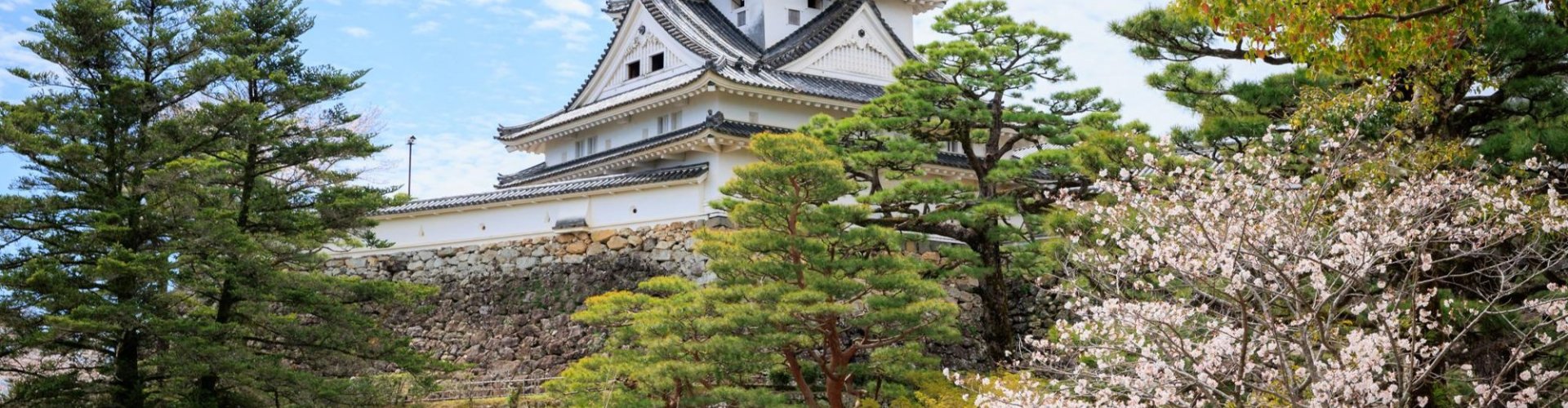 Nightlife in Kochi, JP