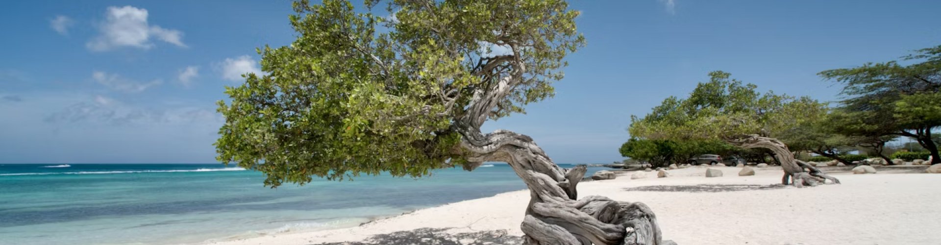 Best nightlife in Aruba, AW