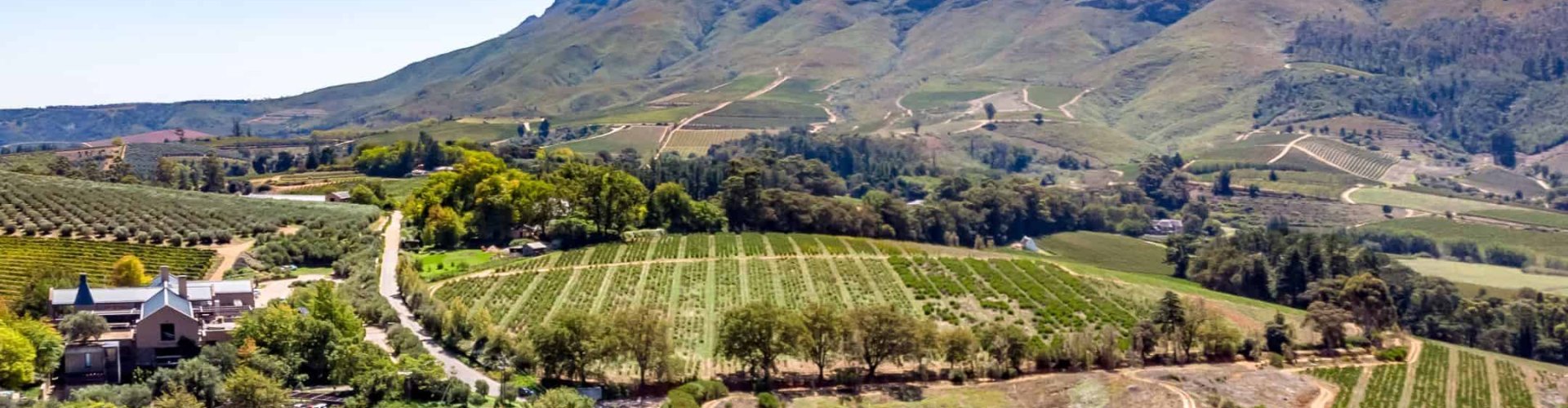Stellenbosch nightlife landscape
