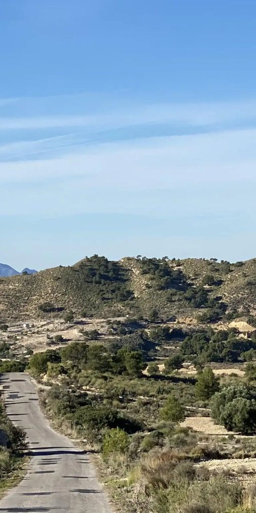 Nightlife ambience in Molina de Segura