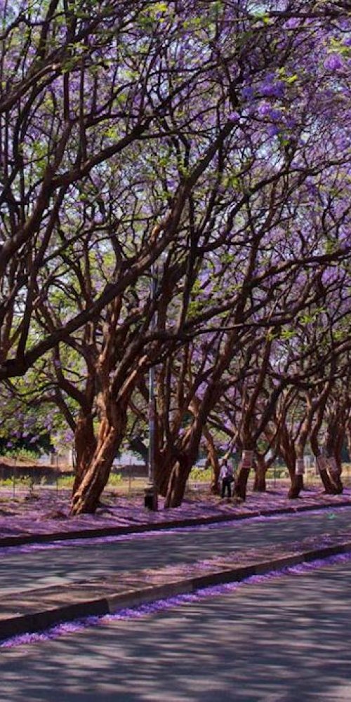 Nightlife ambience in Harare, ZW