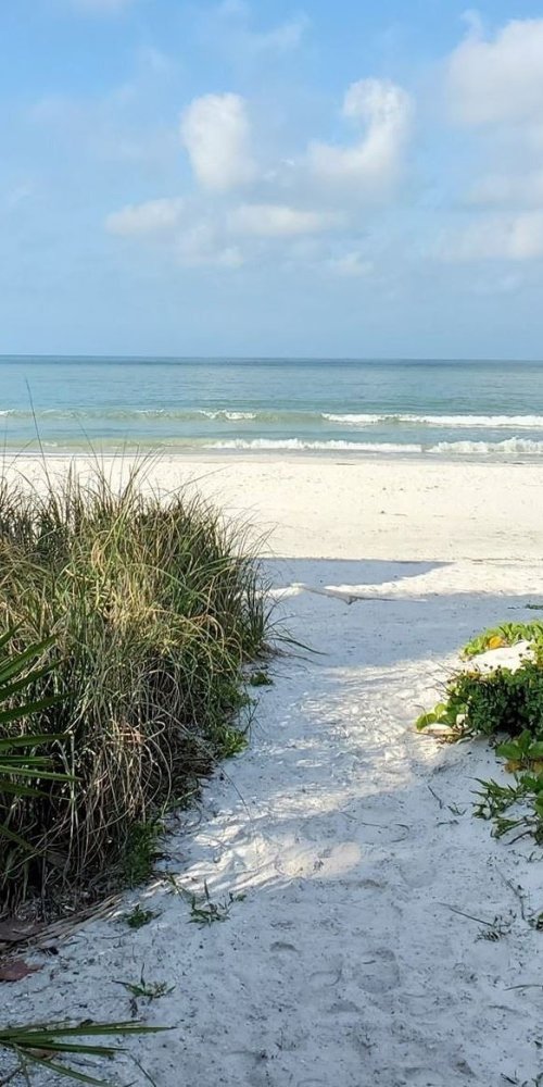 Nightlife ambience Fort Myers