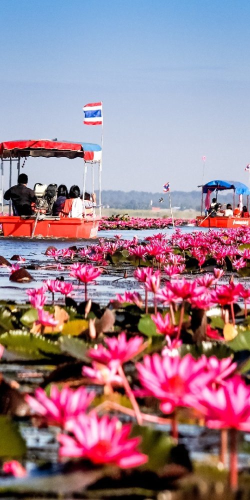 Nightlife ambience in Udon Thani