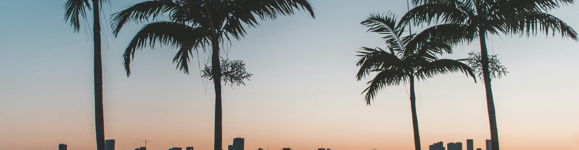 Miami nightlife landscape